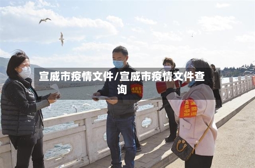 宣威市疫情文件/宣威市疫情文件查询-第3张图片