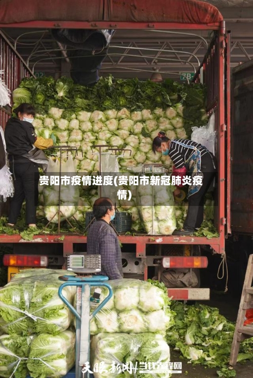 贵阳市疫情进度(贵阳市新冠肺炎疫情)-第2张图片
