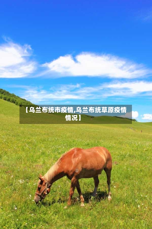 【乌兰布统市疫情,乌兰布统草原疫情情况】