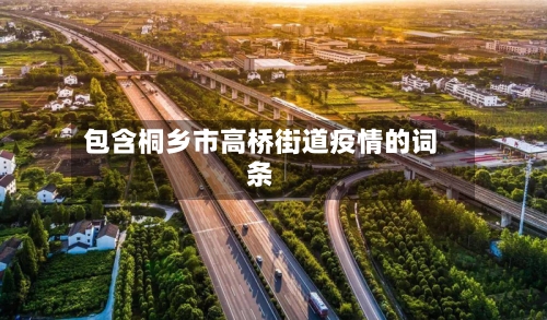 包含桐乡市高桥街道疫情的词条