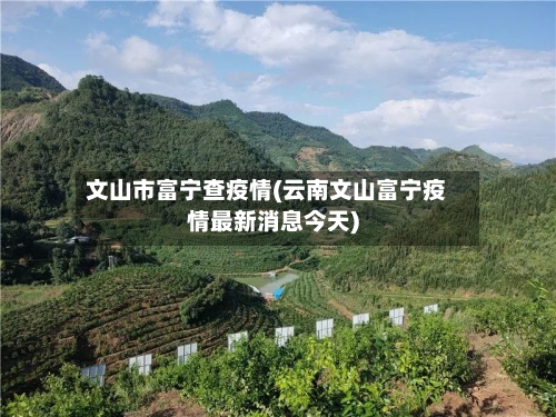 文山市富宁查疫情(云南文山富宁疫情最新消息今天)-第2张图片