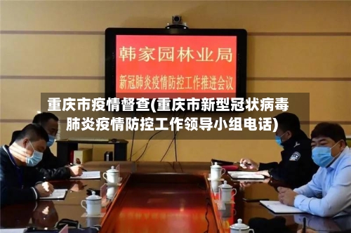 重庆市疫情督查(重庆市新型冠状病毒肺炎疫情防控工作领导小组电话)-第2张图片