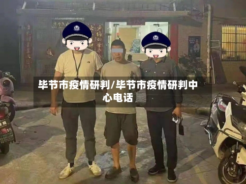 毕节市疫情研判/毕节市疫情研判中心电话-第2张图片