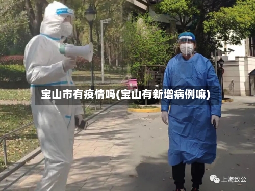 宝山市有疫情吗(宝山有新增病例嘛)