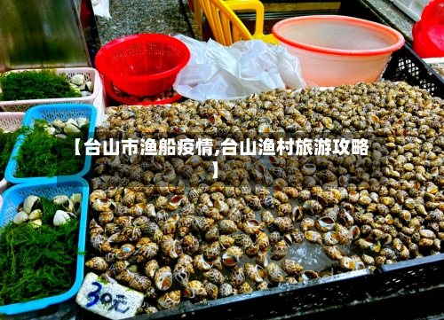 【台山市渔船疫情,台山渔村旅游攻略】