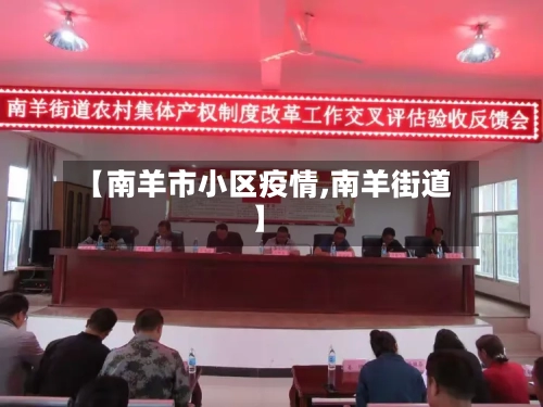 【南羊市小区疫情,南羊街道】