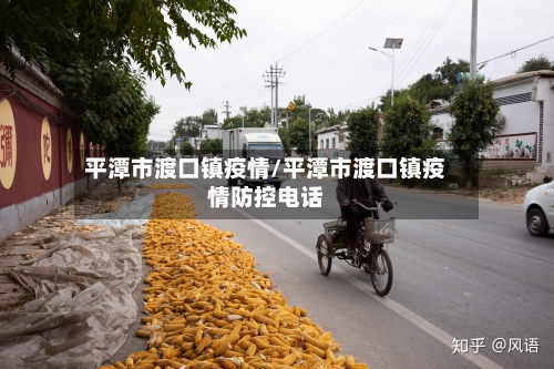 平潭市渡口镇疫情/平潭市渡口镇疫情防控电话