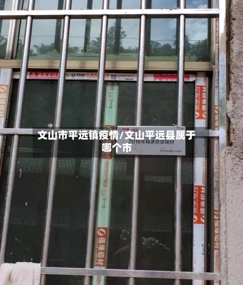 文山市平远镇疫情/文山平远县属于哪个市-第3张图片