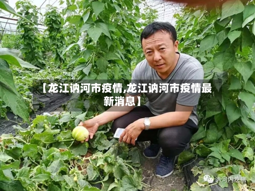 【龙江讷河市疫情,龙江讷河市疫情最新消息】-第3张图片
