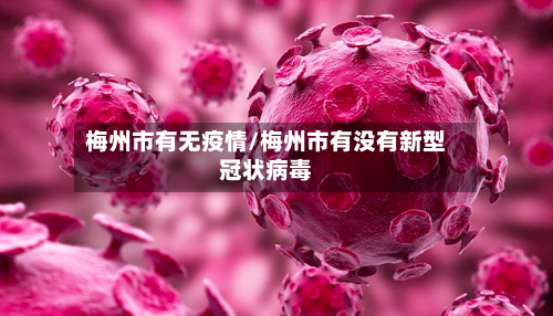 梅州市有无疫情/梅州市有没有新型冠状病毒