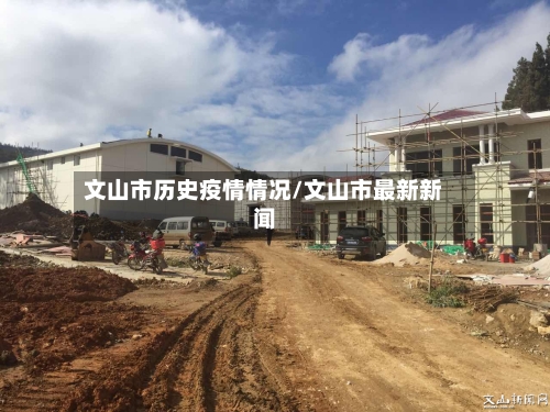 文山市历史疫情情况/文山市最新新闻-第2张图片