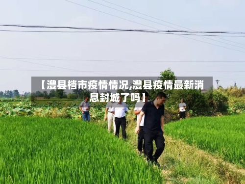 【澧县档市疫情情况,澧县疫情最新消息封城了吗】-第2张图片