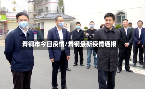 舞钢市今日疫情/舞钢最新疫情通报-第2张图片