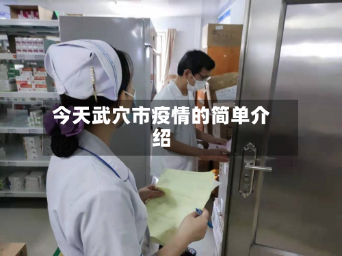今天武穴市疫情的简单介绍