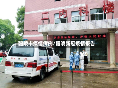 醴陵市疫情病例/醴陵新冠疫情报告-第3张图片