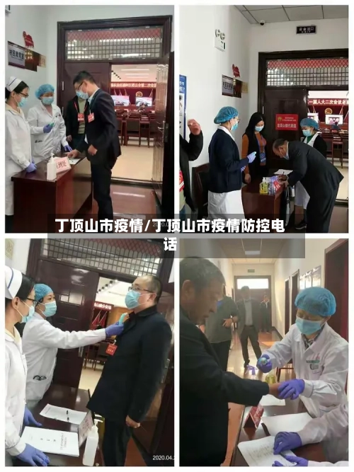 丁顶山市疫情/丁顶山市疫情防控电话-第2张图片