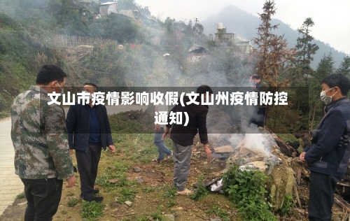 文山市疫情影响收假(文山州疫情防控通知)-第2张图片