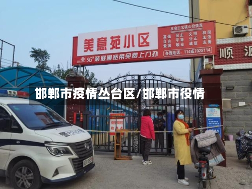 邯郸市疫情丛台区/邯郸市役情-第2张图片
