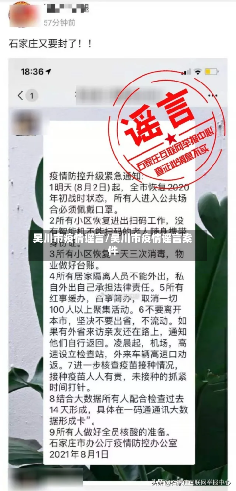 吴川市疫情谣言/吴川市疫情谣言案件