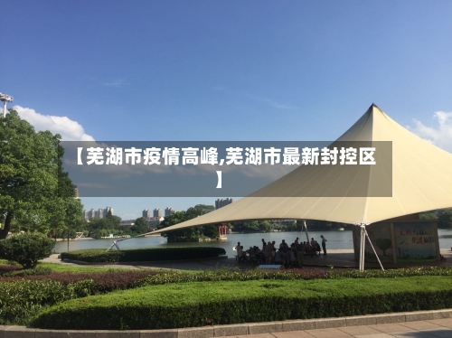 【芜湖市疫情高峰,芜湖市最新封控区】-第2张图片
