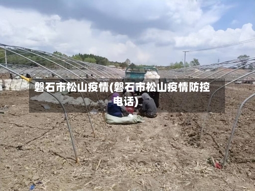 磐石市松山疫情(磐石市松山疫情防控电话)
