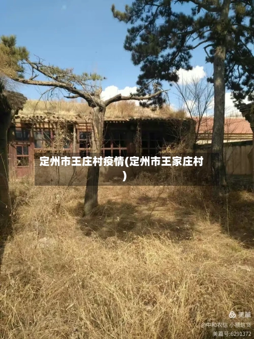 定州市王庄村疫情(定州市王家庄村)-第3张图片