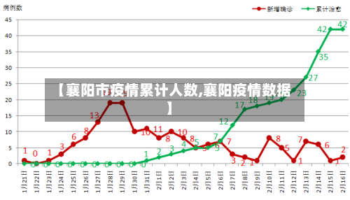 【襄阳市疫情累计人数,襄阳疫情数据】