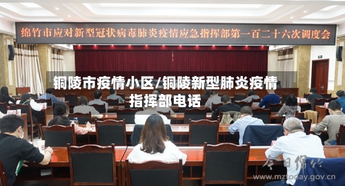 铜陵市疫情小区/铜陵新型肺炎疫情指挥部电话-第2张图片