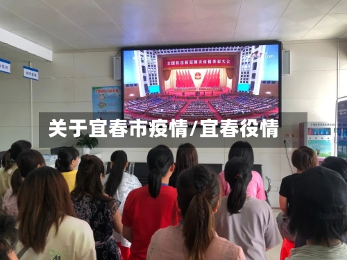 关于宜春市疫情/宜春役情-第3张图片