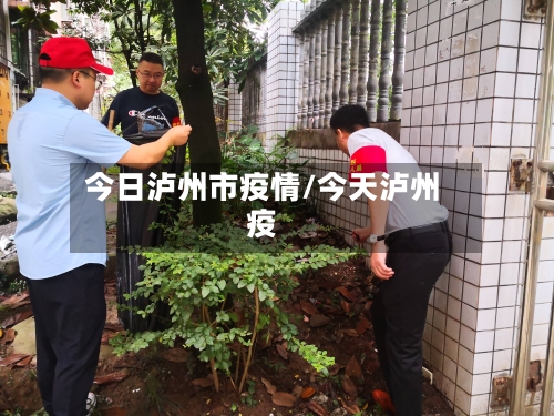 今日泸州市疫情/今天泸州疫-第2张图片