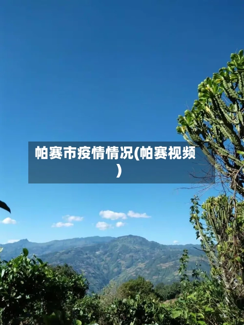 帕赛市疫情情况(帕赛视频)