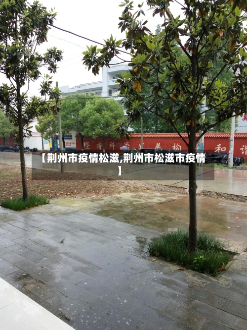 【荆州市疫情松滋,荆州市松滋市疫情】-第2张图片