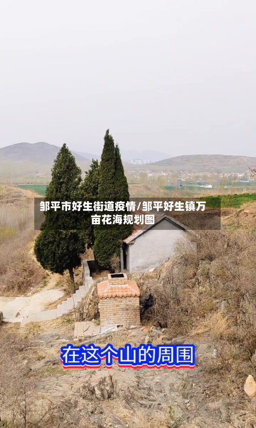 邹平市好生街道疫情/邹平好生镇万亩花海规划图-第2张图片