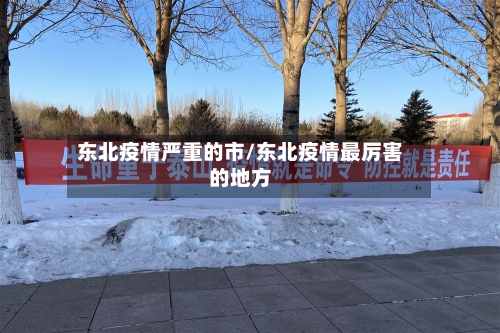 东北疫情严重的市/东北疫情最厉害的地方-第2张图片