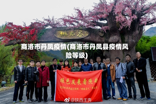 商洛市丹凤疫情(商洛市丹凤县疫情风险等级)