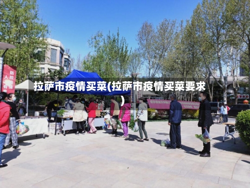 拉萨市疫情买菜(拉萨市疫情买菜要求)-第2张图片