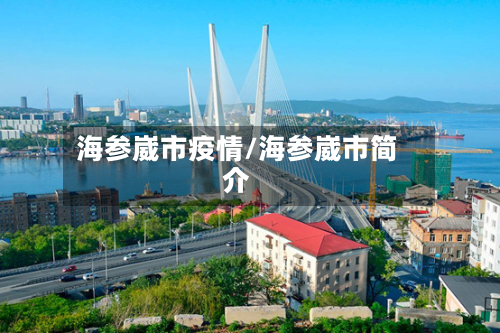 海参崴市疫情/海参崴市简介