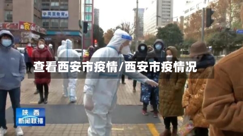 查看西安市疫情/西安市疫情况