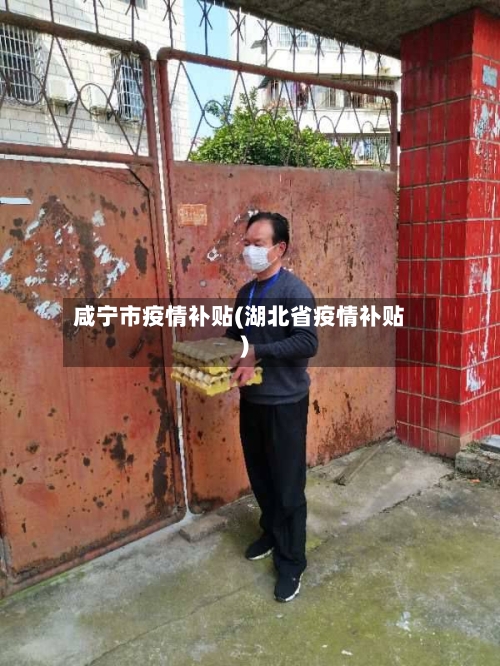 咸宁市疫情补贴(湖北省疫情补贴)