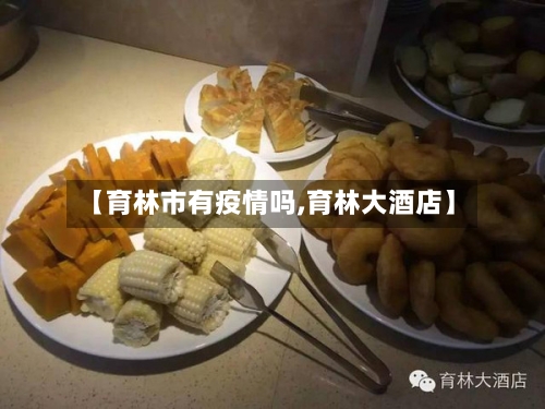 【育林市有疫情吗,育林大酒店】-第2张图片