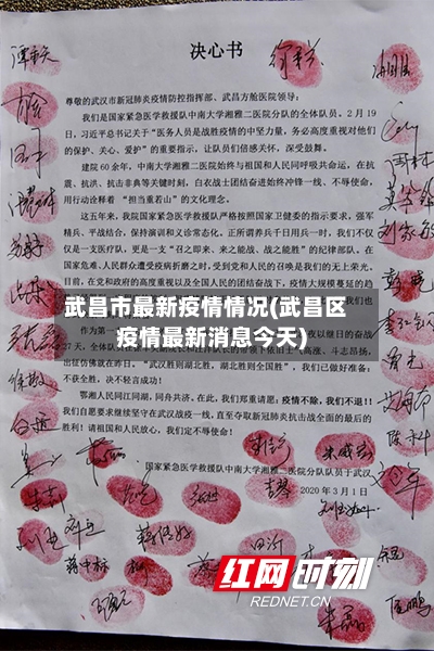武昌市最新疫情情况(武昌区疫情最新消息今天)-第2张图片