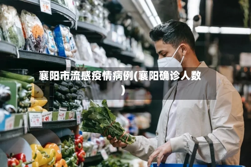 襄阳市流感疫情病例(襄阳确诊人数)-第2张图片