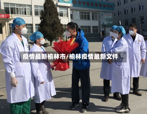 疫情最新榆林市/榆林疫情最新文件-第3张图片