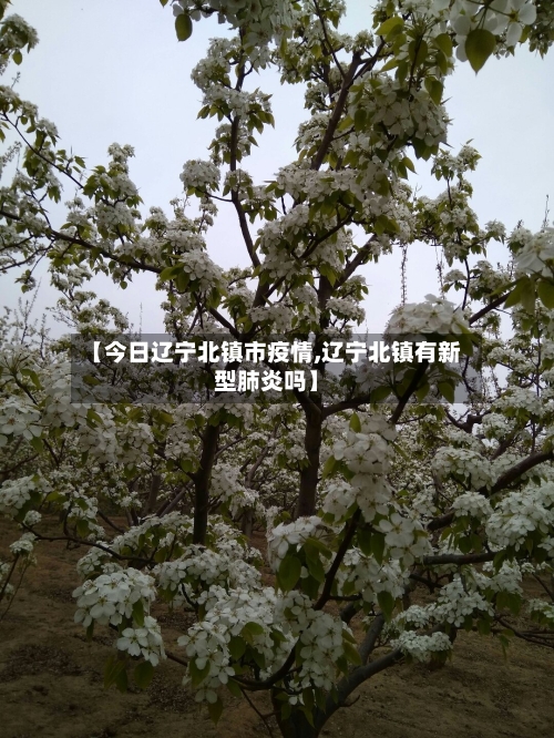 【今日辽宁北镇市疫情,辽宁北镇有新型肺炎吗】-第3张图片