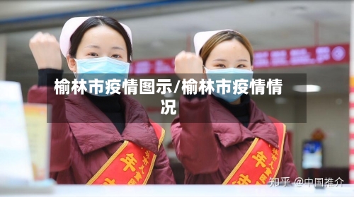 榆林市疫情图示/榆林市疫情情况-第3张图片