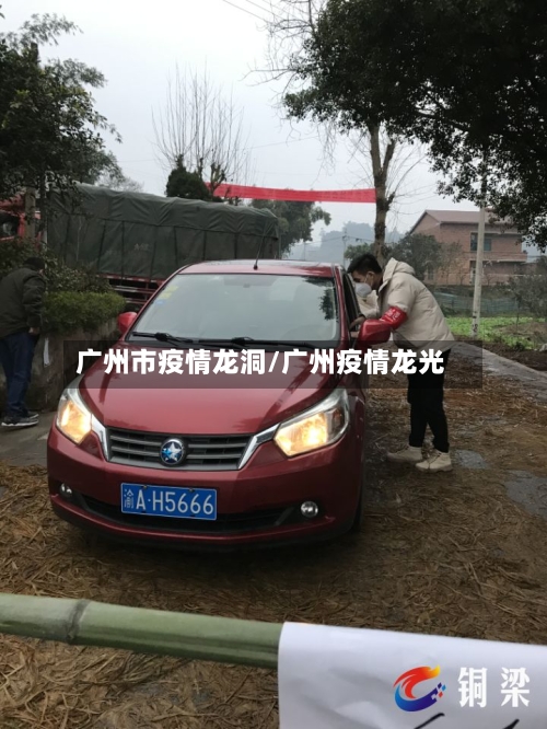 广州市疫情龙洞/广州疫情龙光-第3张图片