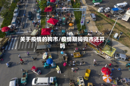 关于疫情的狗市/疫情期间狗市还开吗