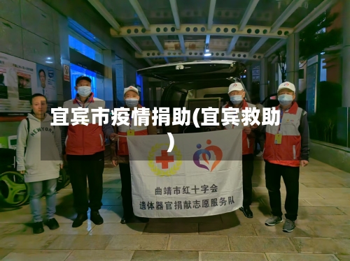 宜宾市疫情捐助(宜宾救助)-第3张图片