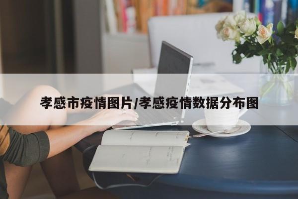 孝感市疫情图片/孝感疫情数据分布图