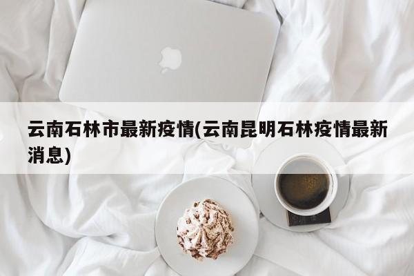 云南石林市最新疫情(云南昆明石林疫情最新消息)